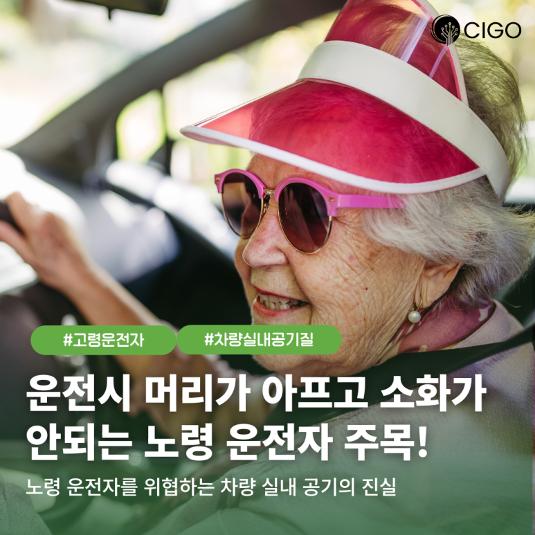 만성 소화불량과 흉통을 겪는 노령 운전자를 위한 차량 실내 공기 환경 개선 가이드