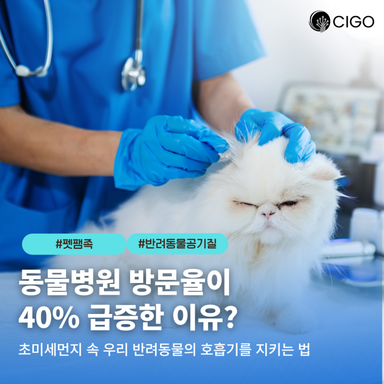 “동물병원 방문율 40% 급증?” 초미세먼지가 반려동물에 미치는 영향