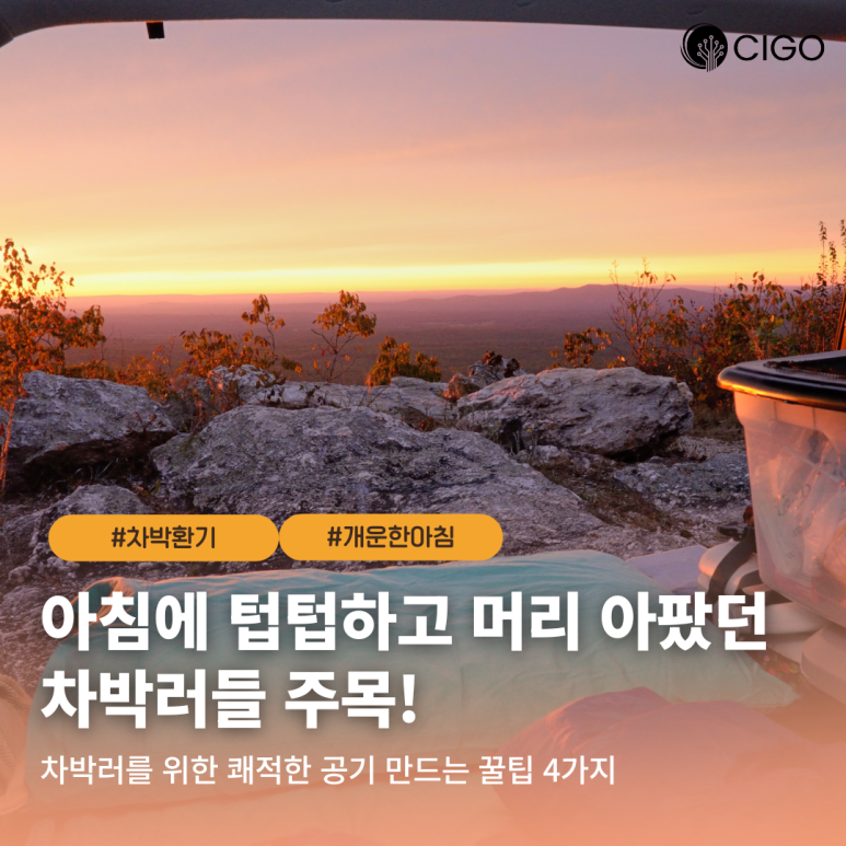 차박 할 때 아침마다 텁텁하다면? 차 안 공기 쾌적하게 유지하는 꿀팁 4가지