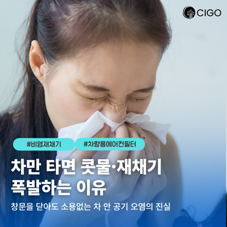 비염 환자가 차만 타면 콧물·재채기가 터지는 진짜 이유와 대책