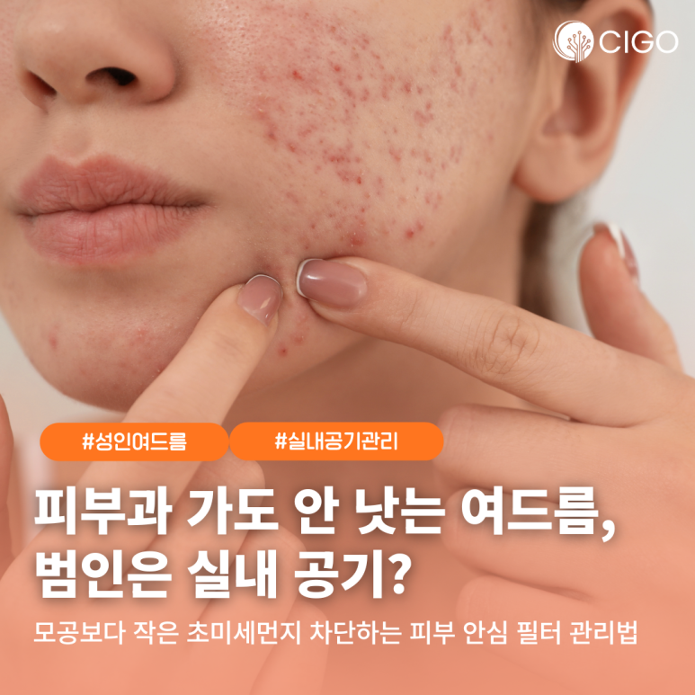 피부과 의사들이 강조하는 ‘성인 여드름·마스크 트러블’과 실내/차내 공기질의 연관성
