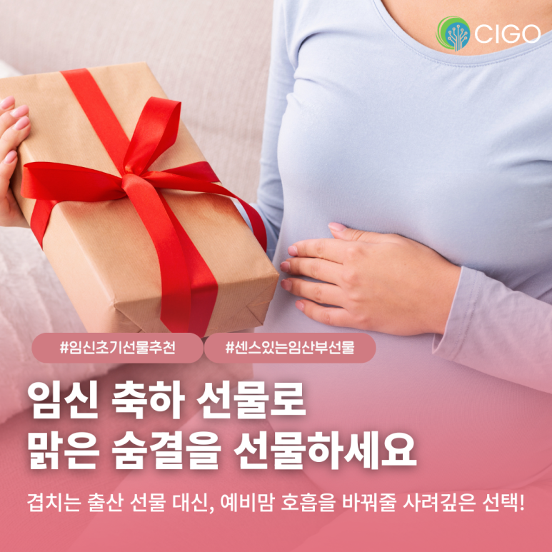 초기 임산부 선물 리스트에 ‘자동차 에어컨 필터’가 무조건 들어가야 하는 이유