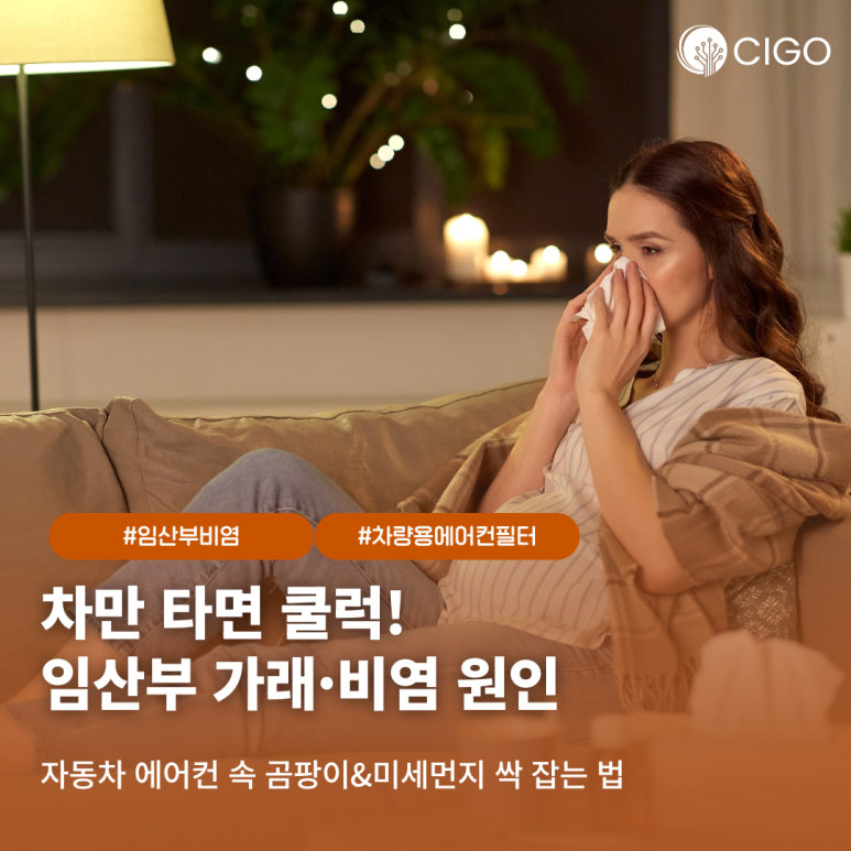 임산부 가래와 비염의 주범? 자동차 에어컨 속 미세먼지와 곰팡이 싹 잡는 법