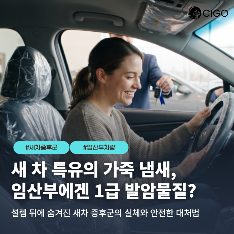 새차 증후군과 미세먼지 동시 해결! 임산부 탑승 차량을 위한 필터 추천