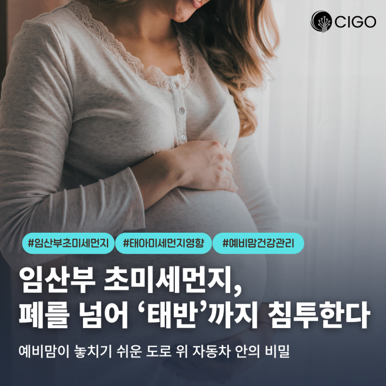 임산부 초미세먼지 노출 위험성: 도로 위 자동차 안이 더 위험할 수 있다?