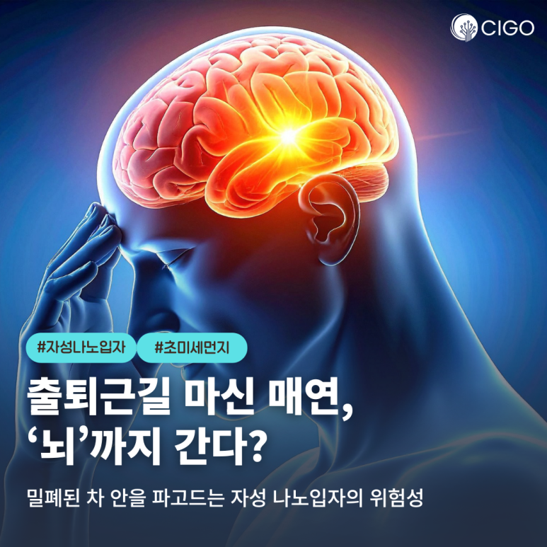 출퇴근길 매연이 뇌로 간다? 뇌심혈관질환과 차량 내 흡입 유해물질의 관계