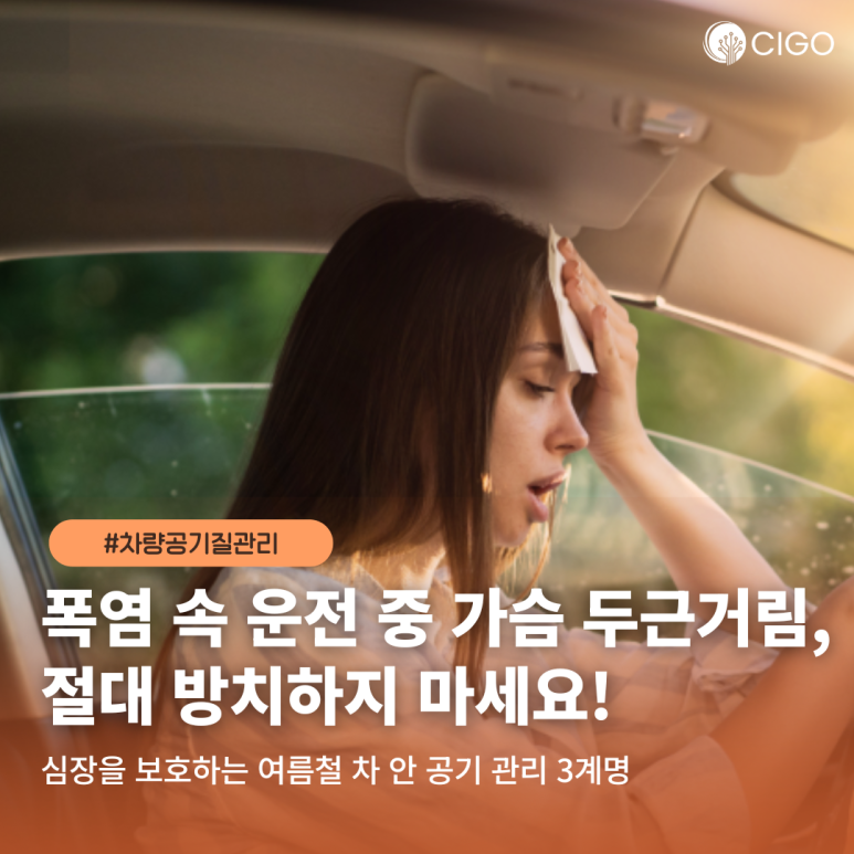 여름철 폭염 운전 중 심박수 급상승? 원인과 차량 공기질 관리법